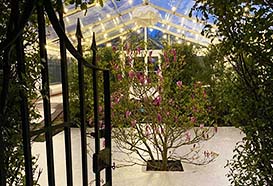 Entrance to the reception marquee