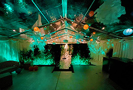 Reception tent lit up with a green wash later on