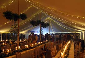 Lighting with fairy light canopy