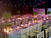 Elegant birthday party tent