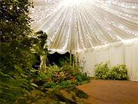 Tent with fairy lights